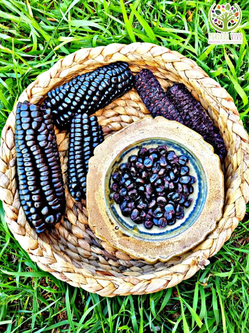 De la tierra al plato: ingredientes criollos casi olvidados que merecen volver a tu cocina